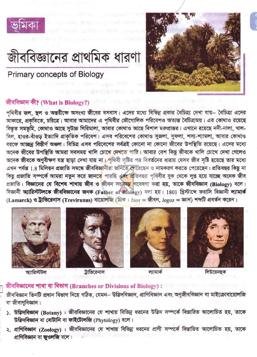 পাতা 6