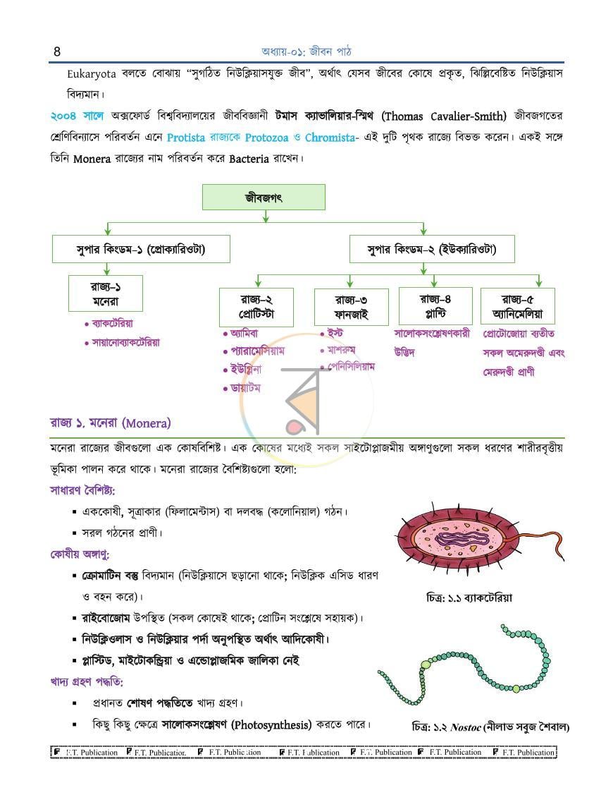 পাতা 8