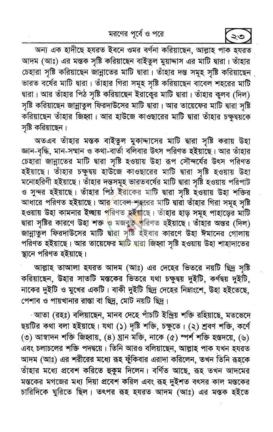 পাতা 12