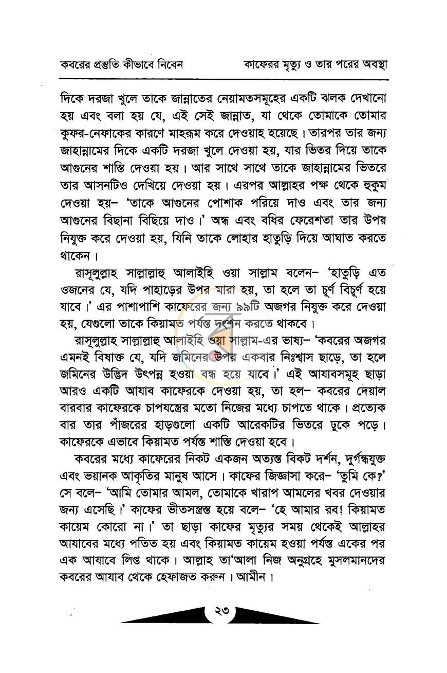 পাতা 11