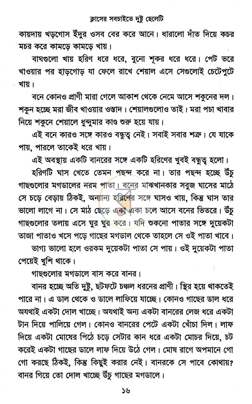 পাতা 11