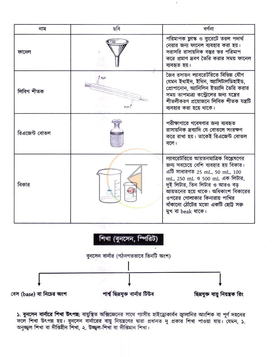 পাতা 12
