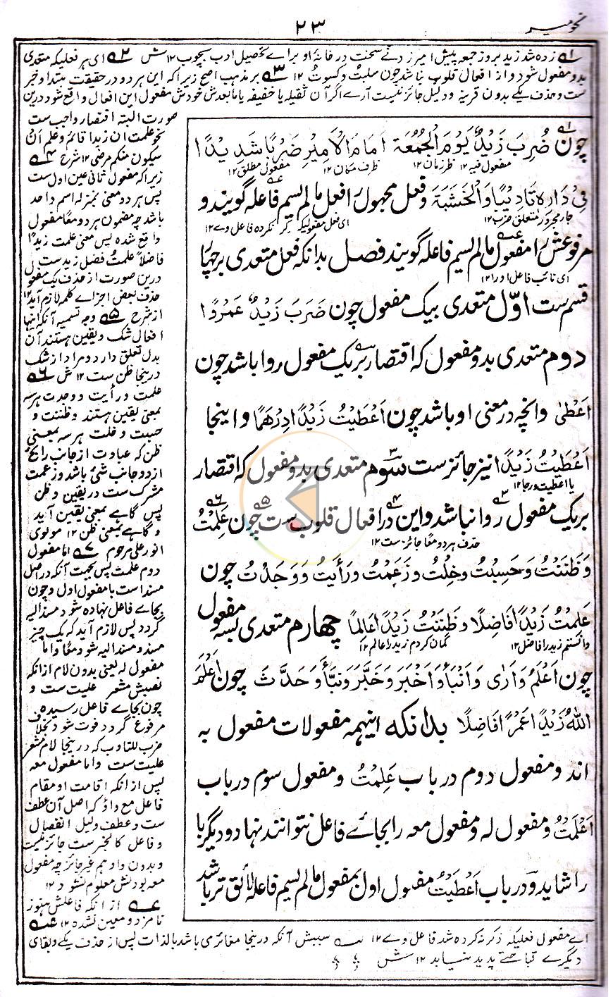 পাতা 11