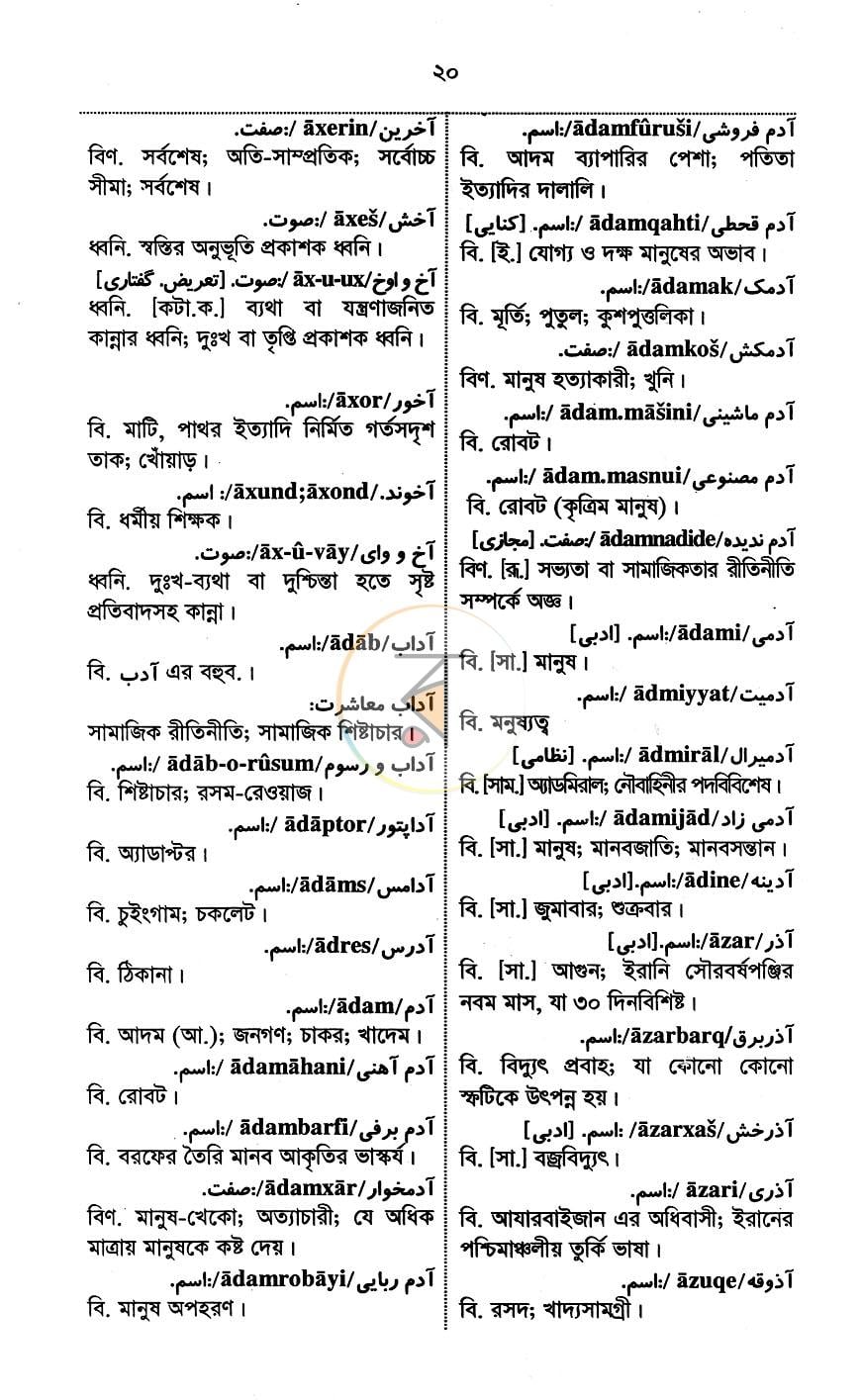 পাতা 13