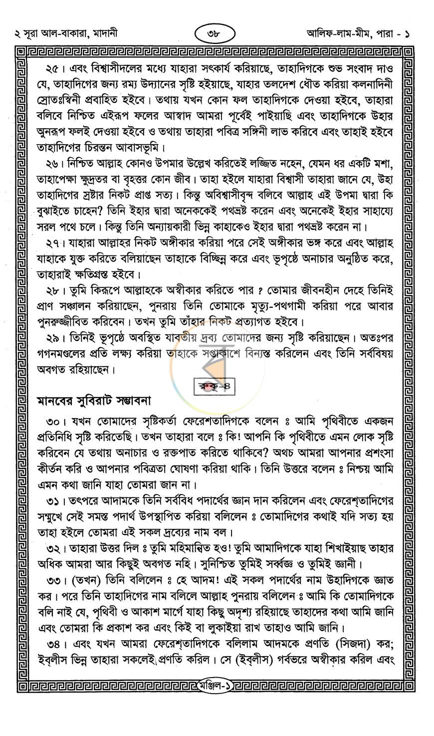 পাতা 11