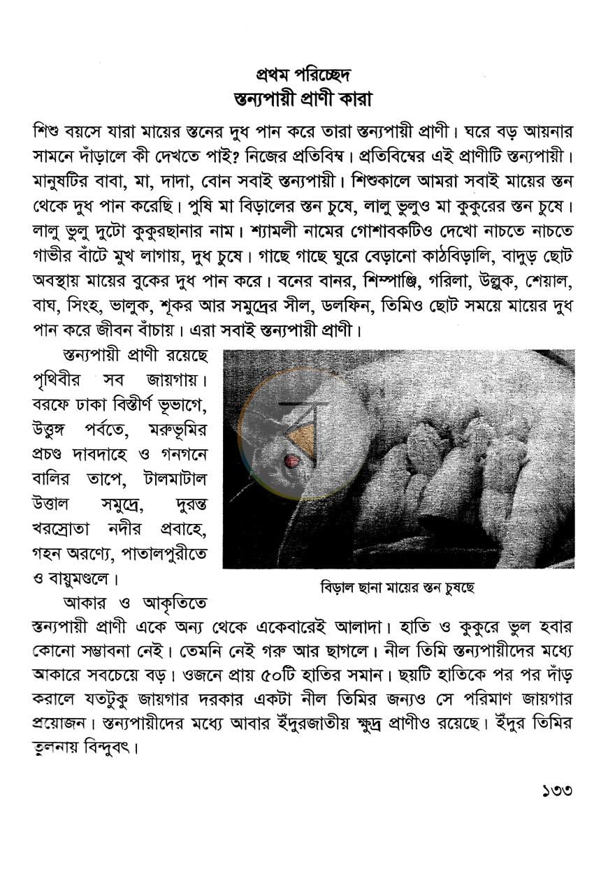 পাতা 12