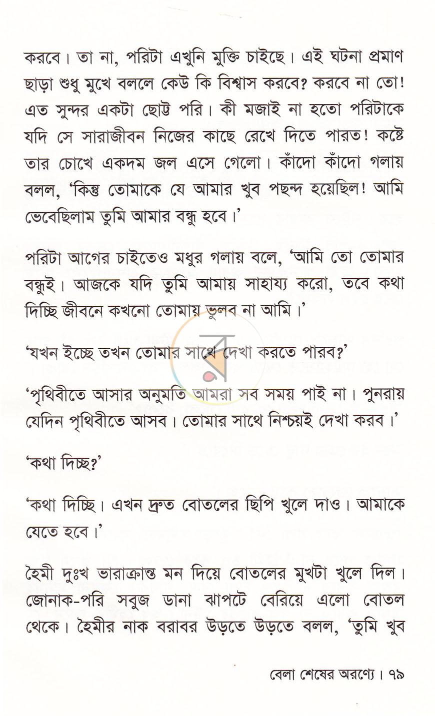 পাতা 13