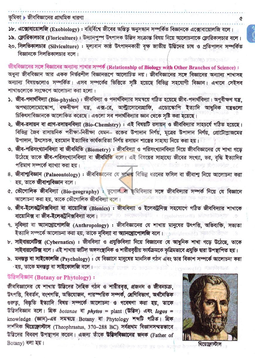 পাতা 10