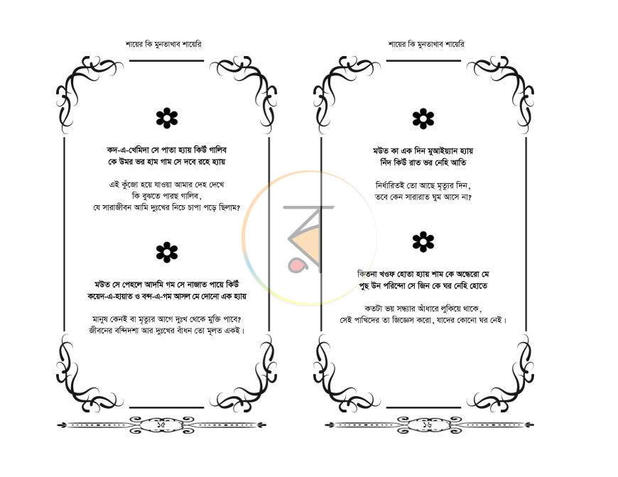 পাতা 8