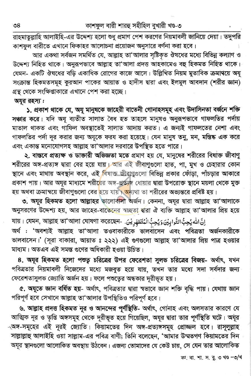 পাতা 10