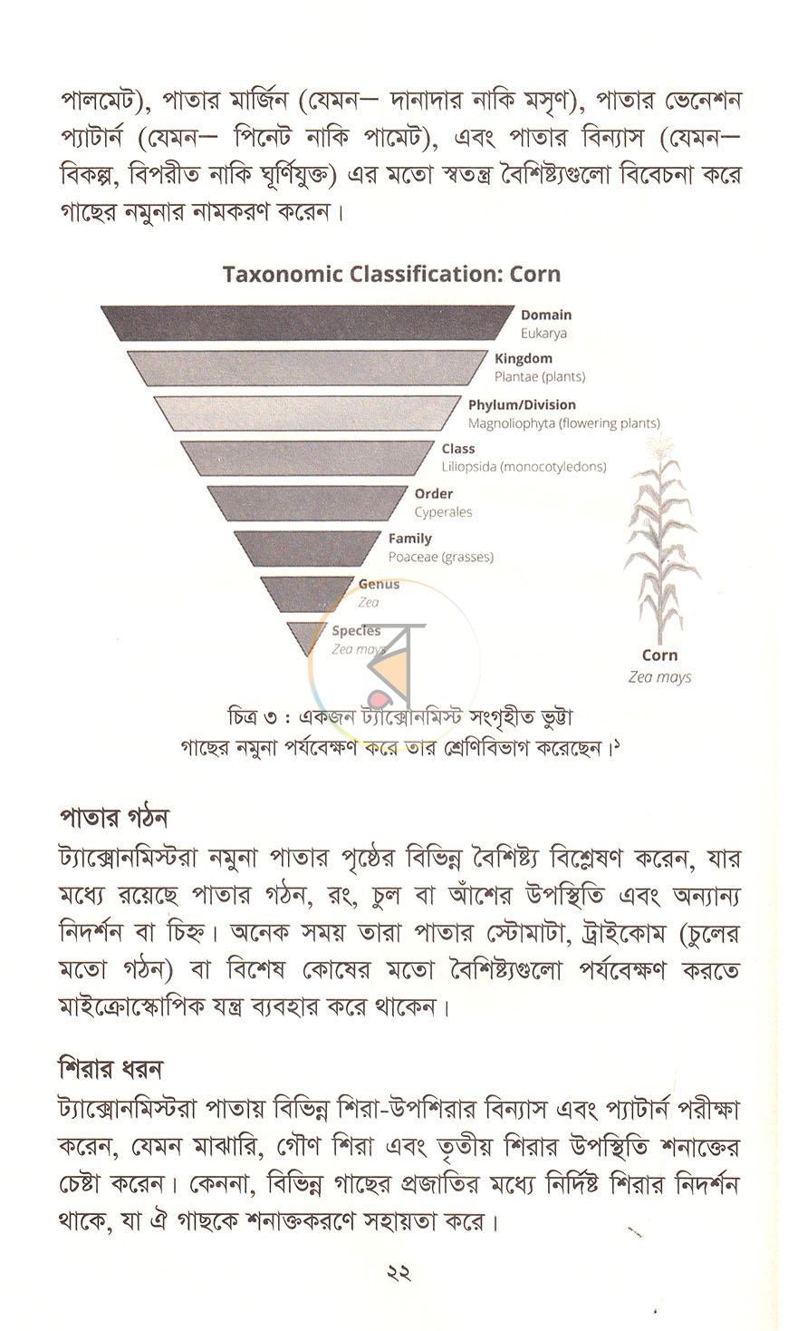 পাতা 13