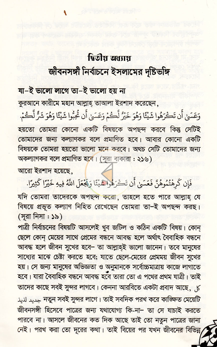পাতা 11