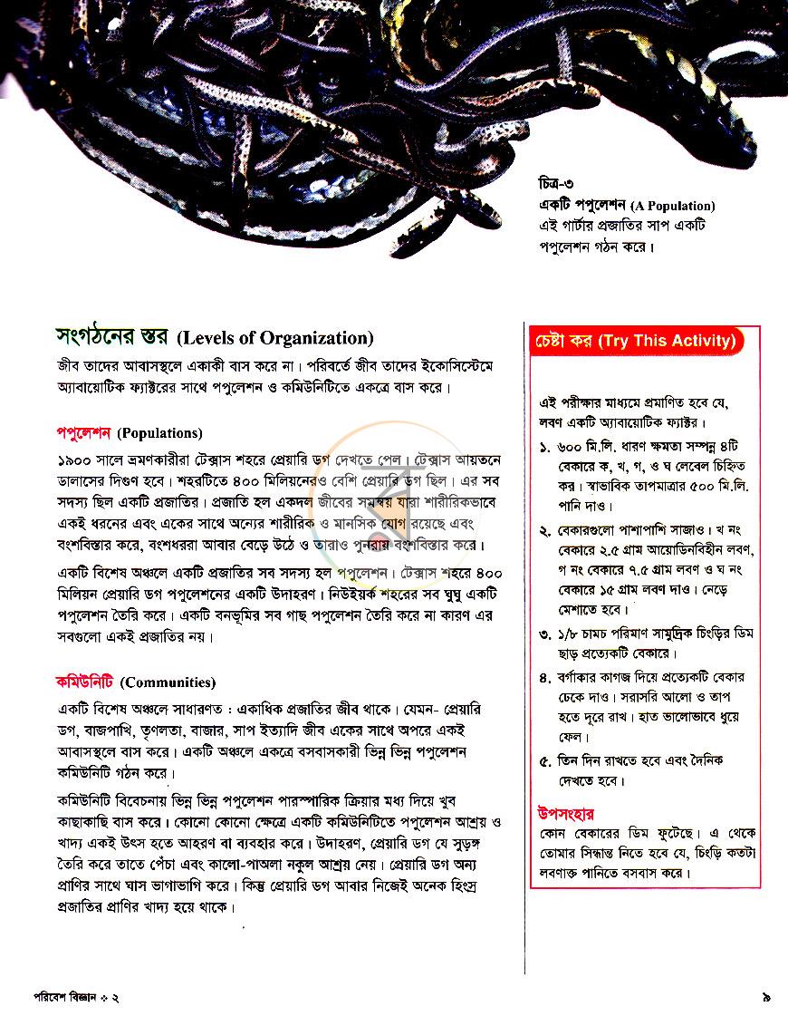 পাতা 9