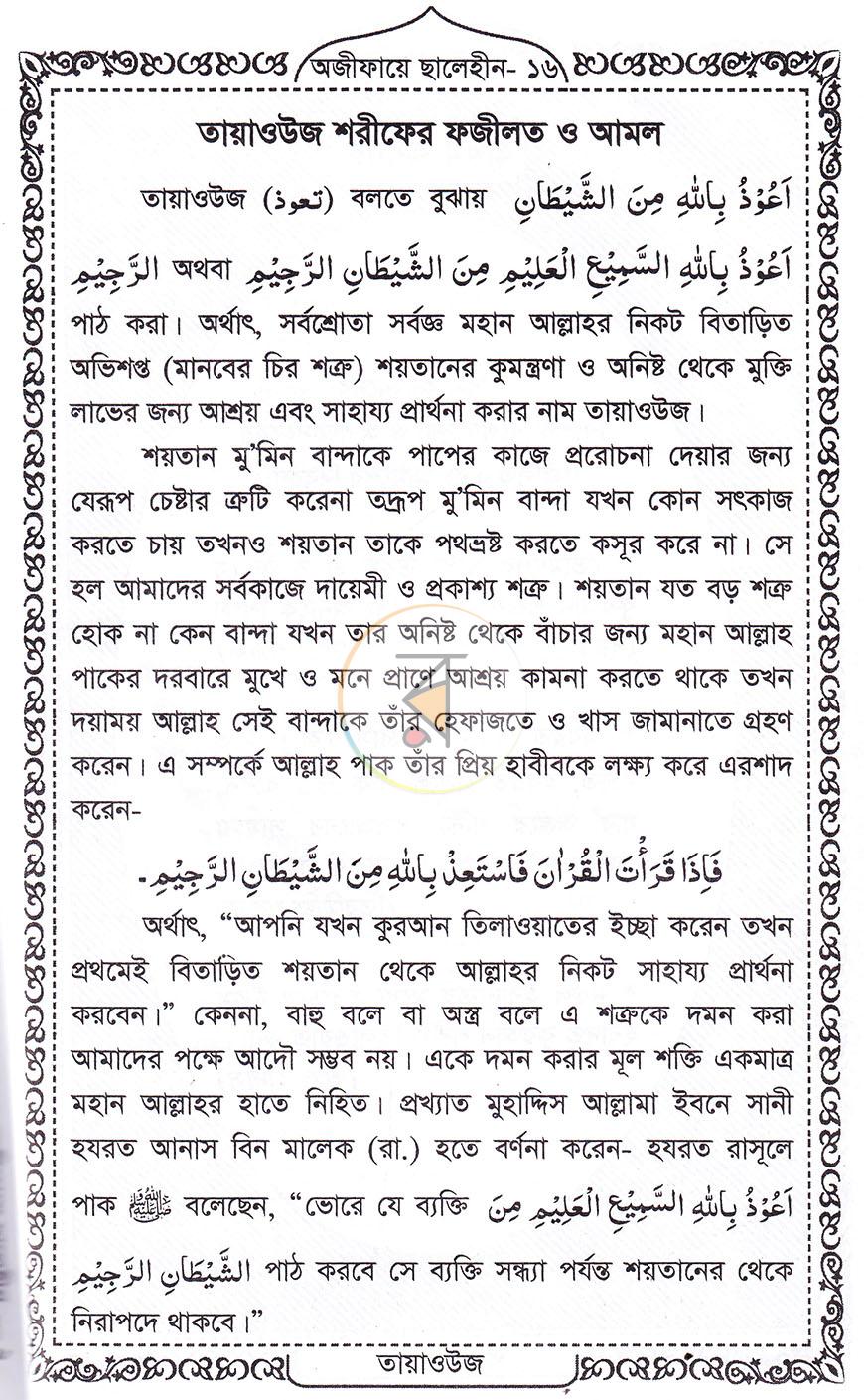 পাতা 10