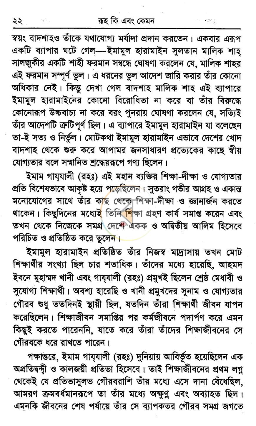 পাতা 13