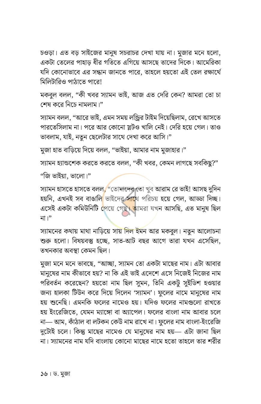 পাতা 13
