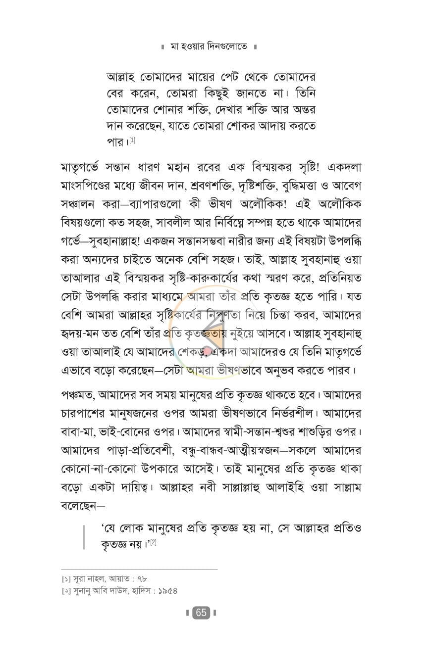 পাতা 19