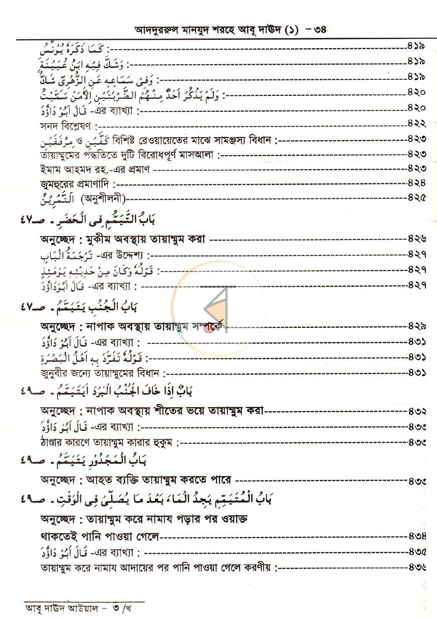 পাতা 13