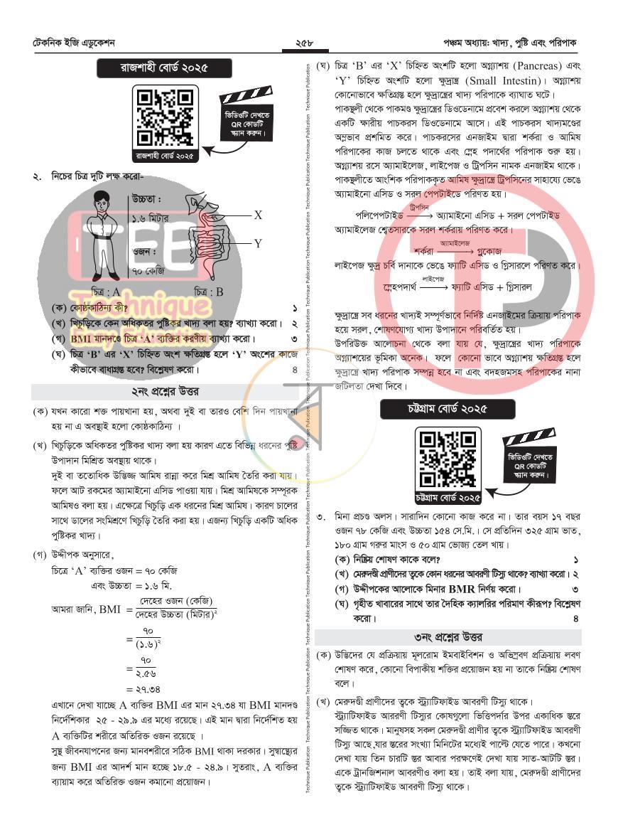 পাতা 33