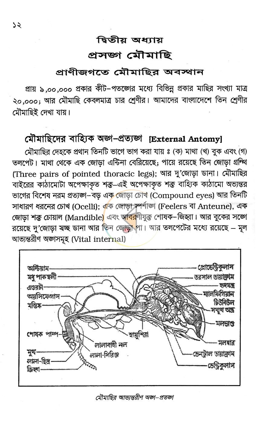 পাতা 7