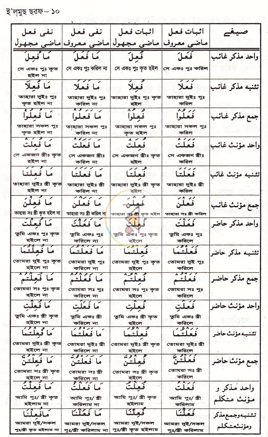 পাতা 8