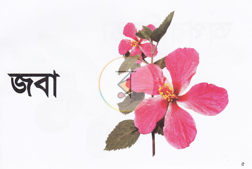 পাতা 3