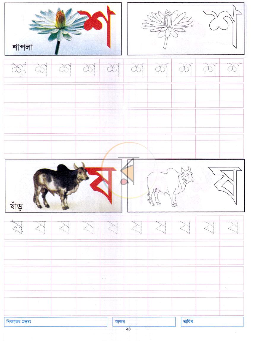 পাতা 5