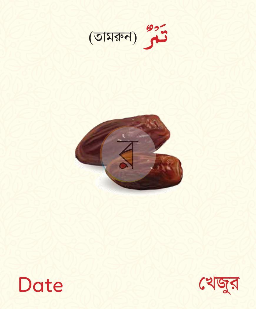 পাতা 3