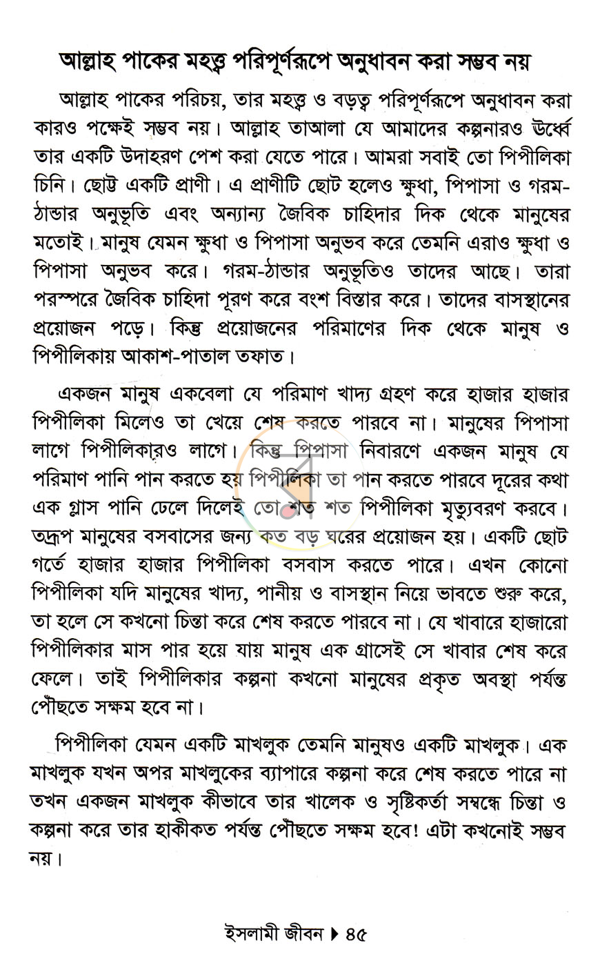 পাতা 12
