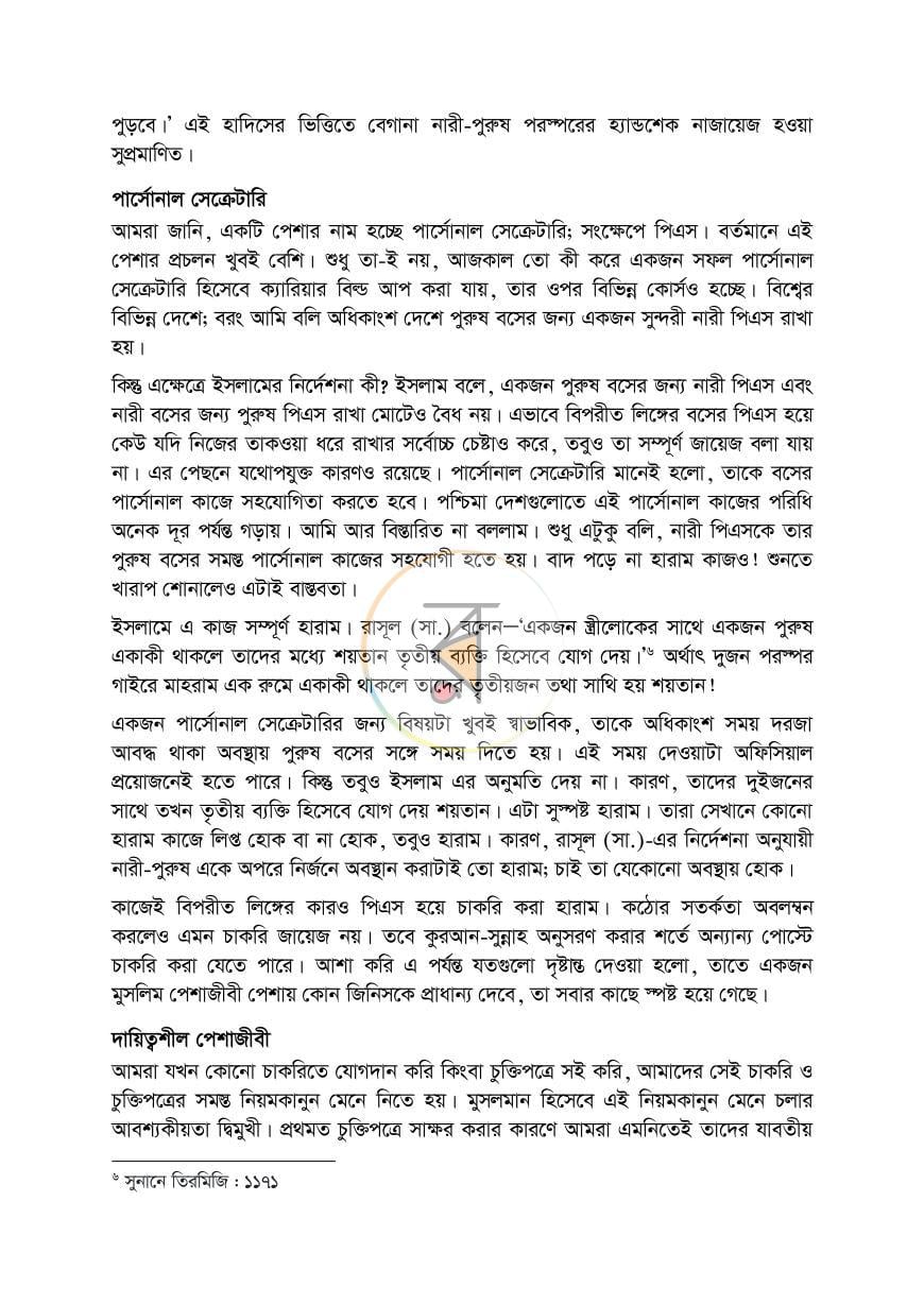 পাতা 13