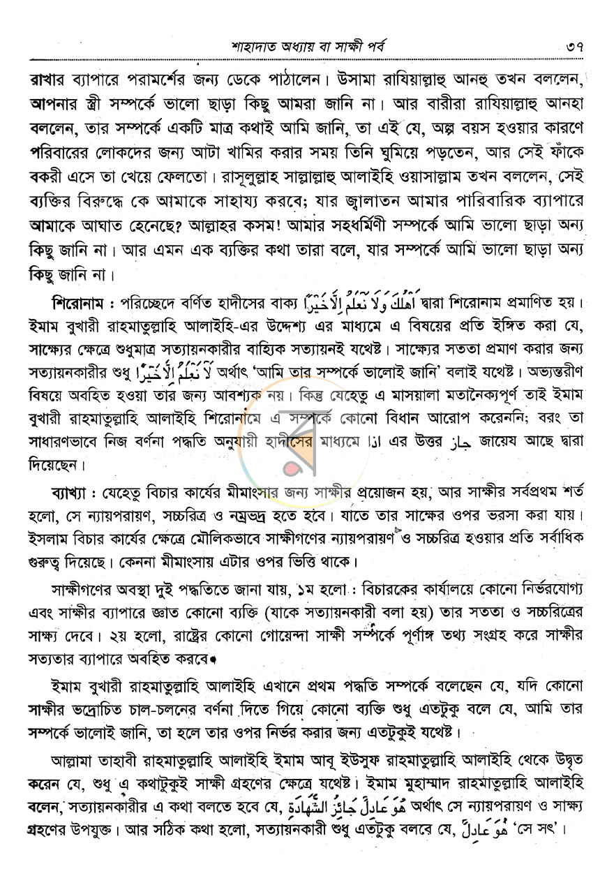 পাতা 13