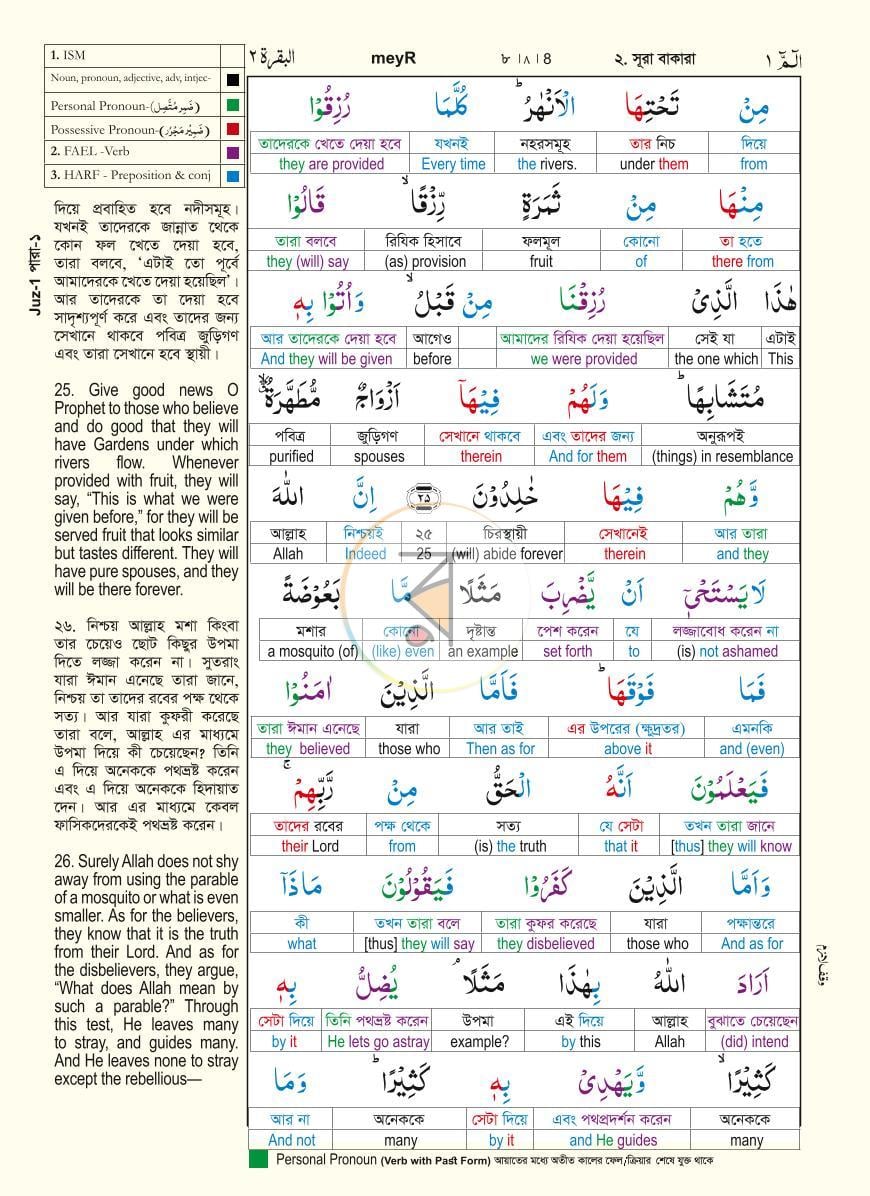 পাতা 8