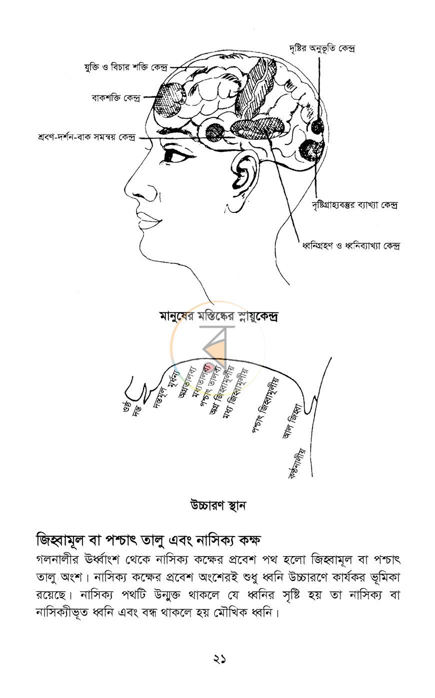 পাতা 11