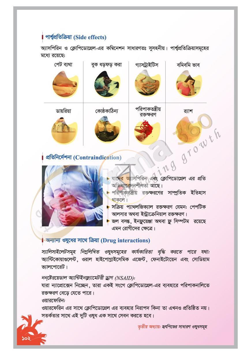 পাতা 19