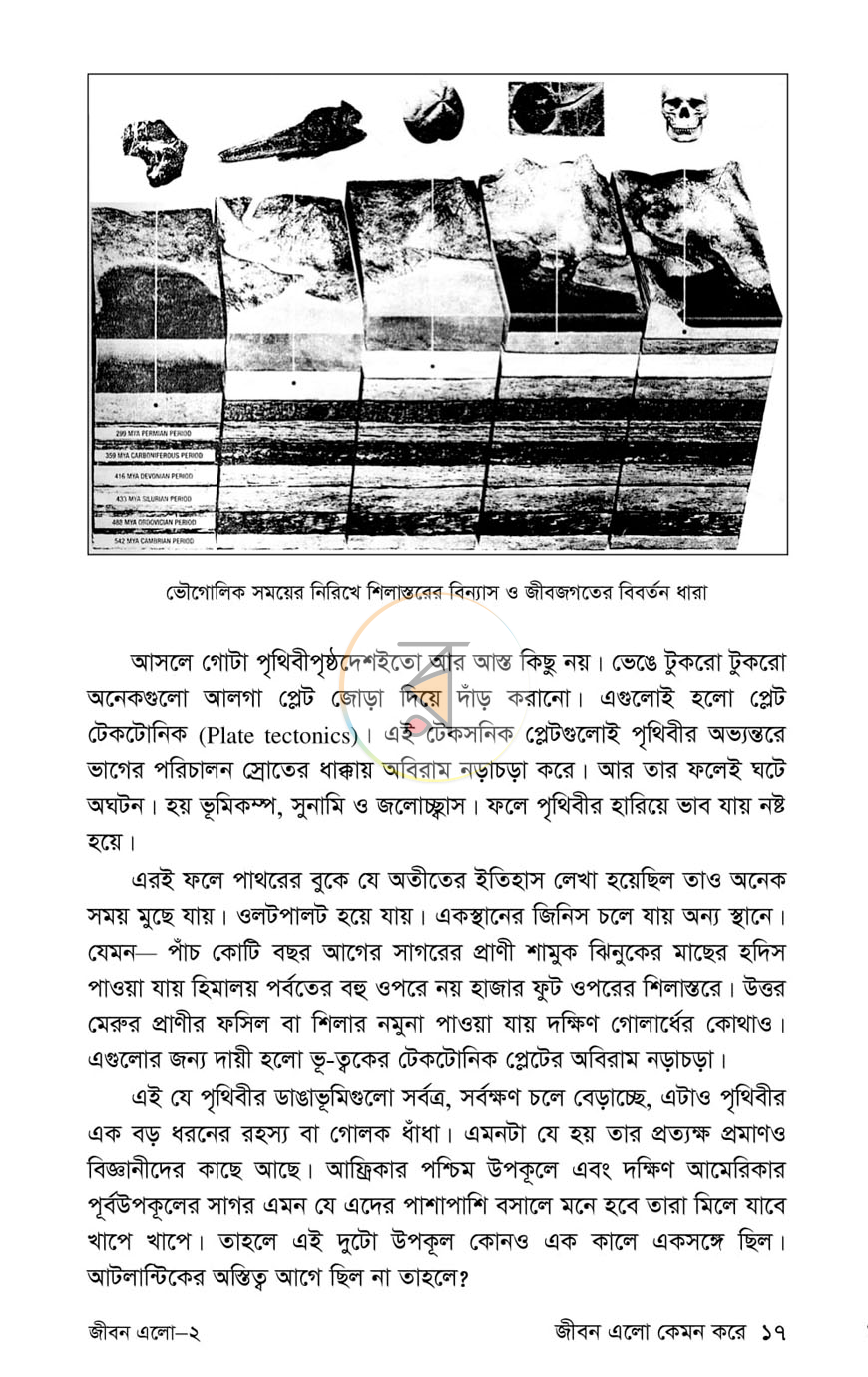 পাতা 12
