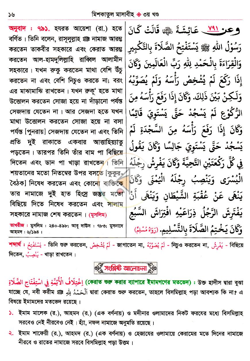 পাতা 13