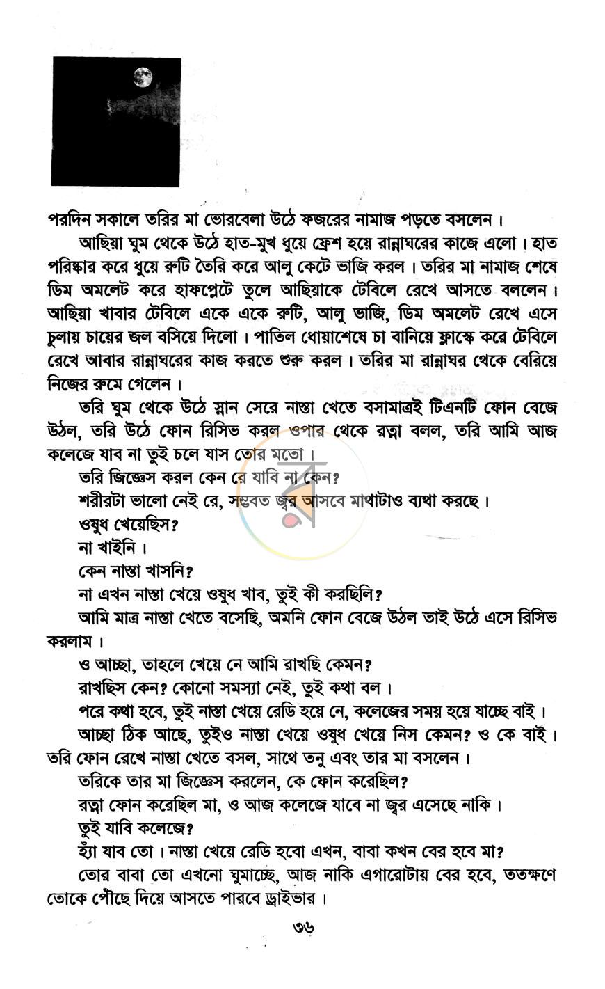 পাতা 13