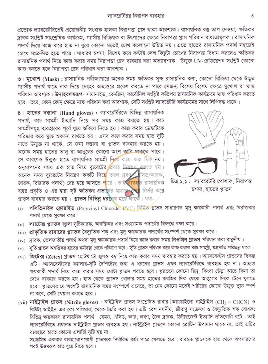 পাতা 10