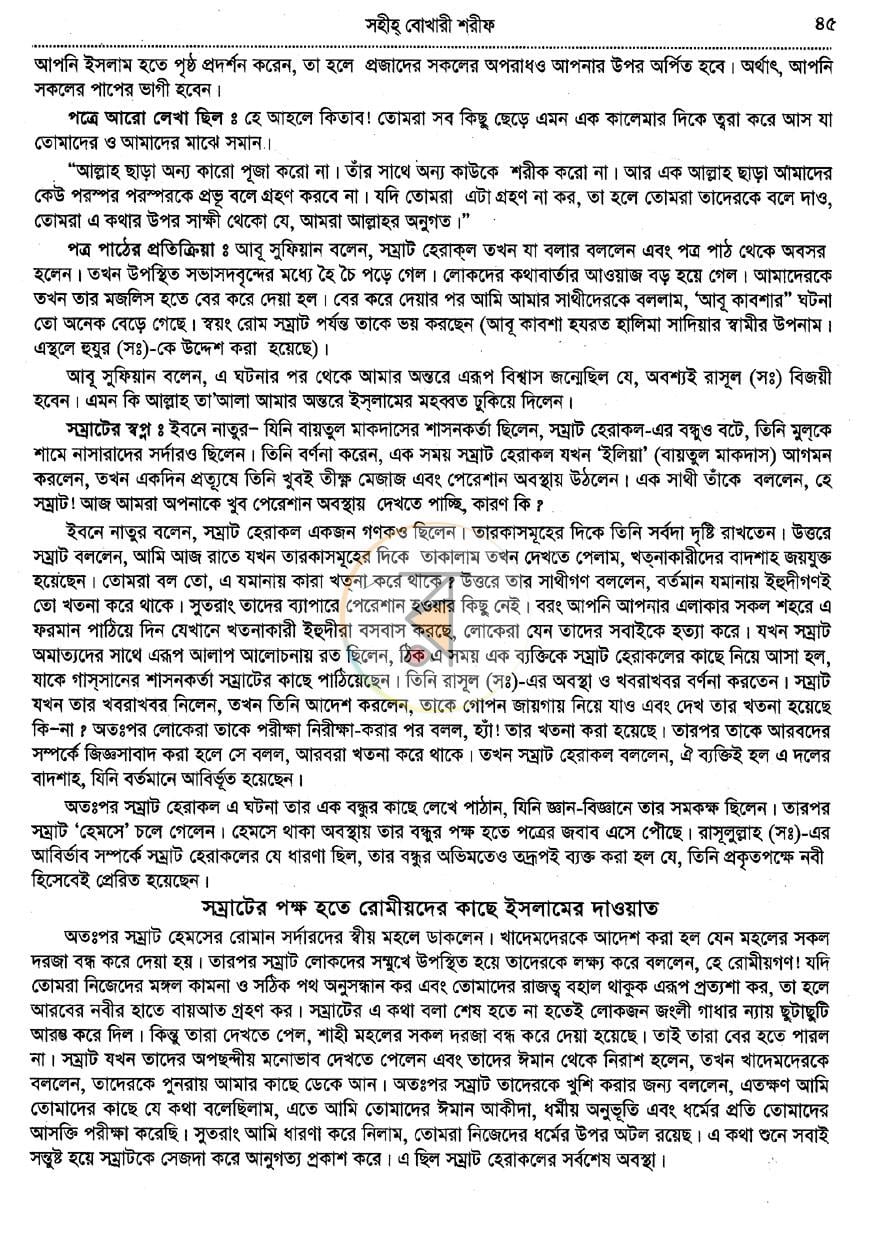 পাতা 11