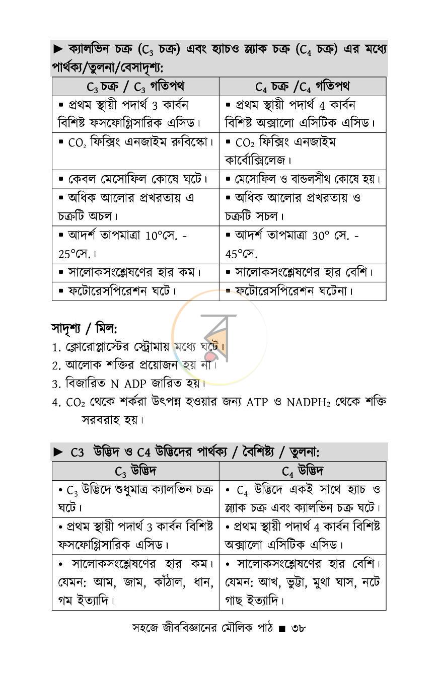 পাতা 11