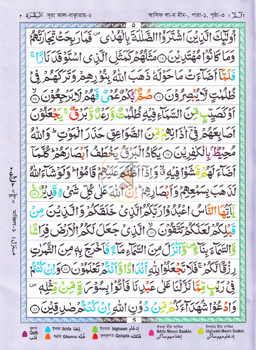 পাতা 5