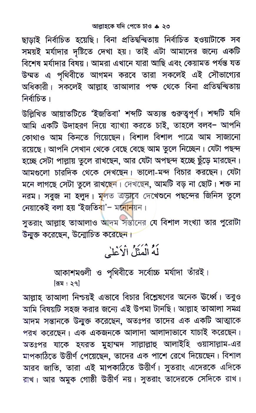 পাতা 11