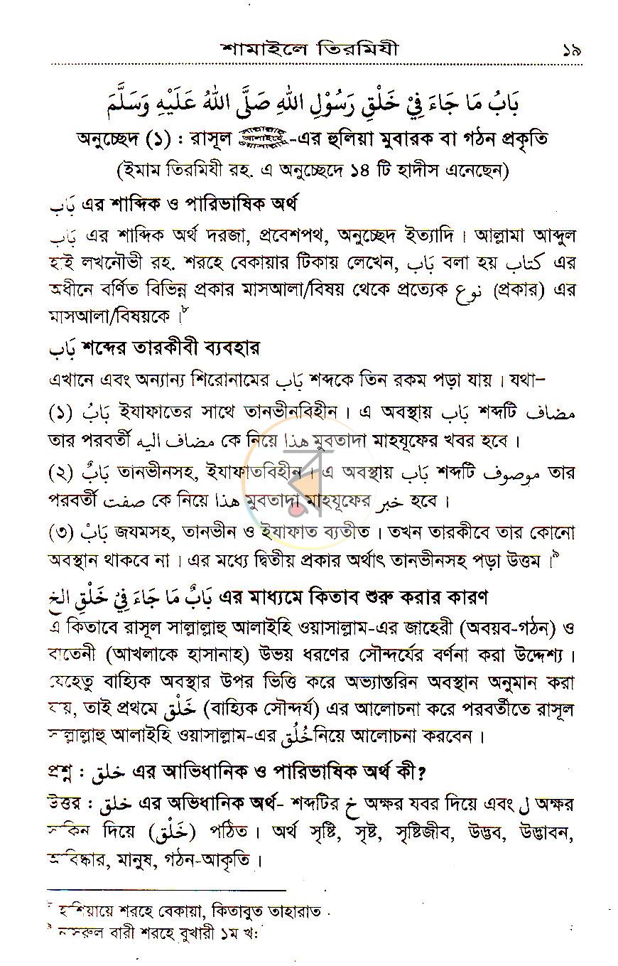 পাতা 11