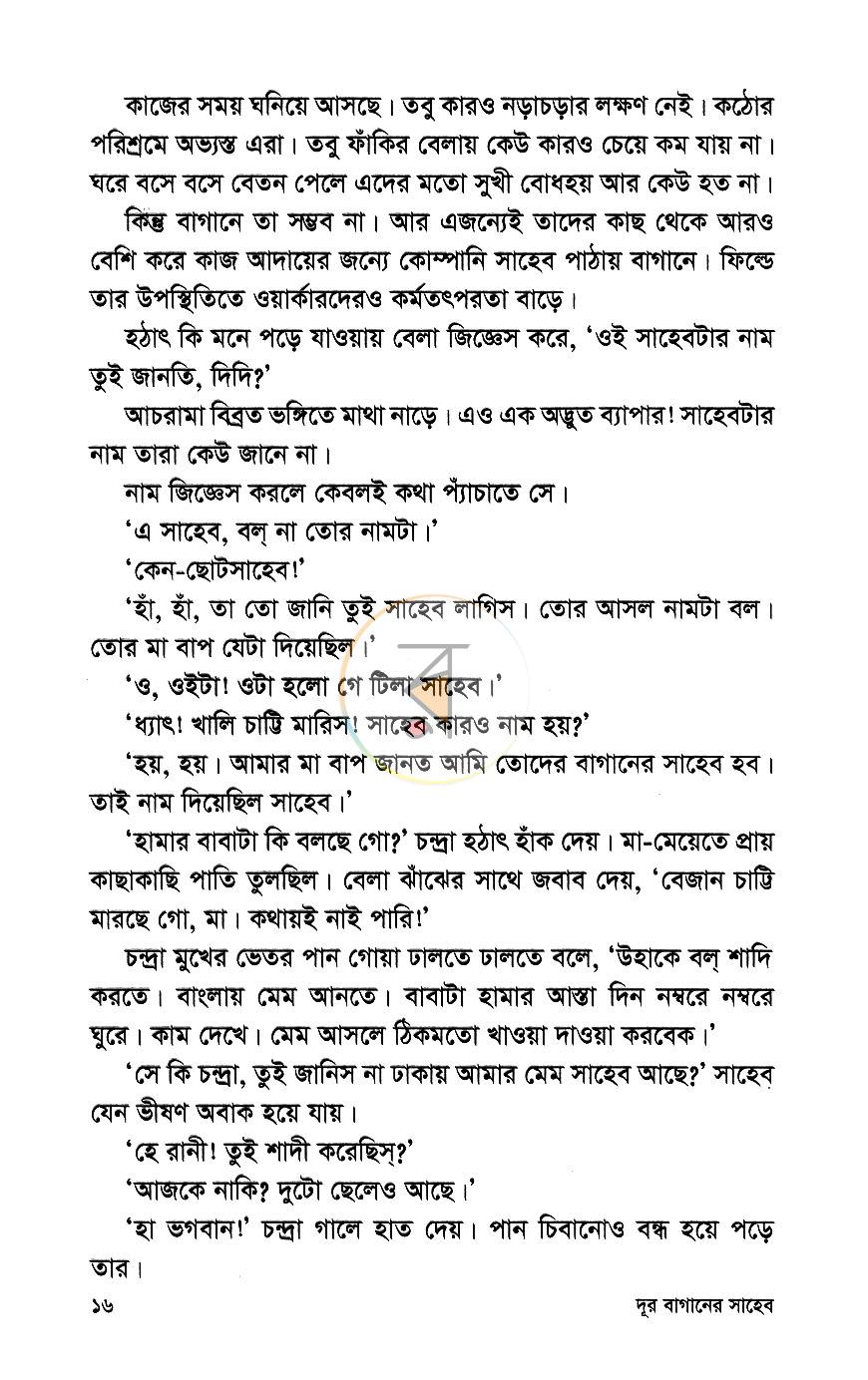 পাতা 11