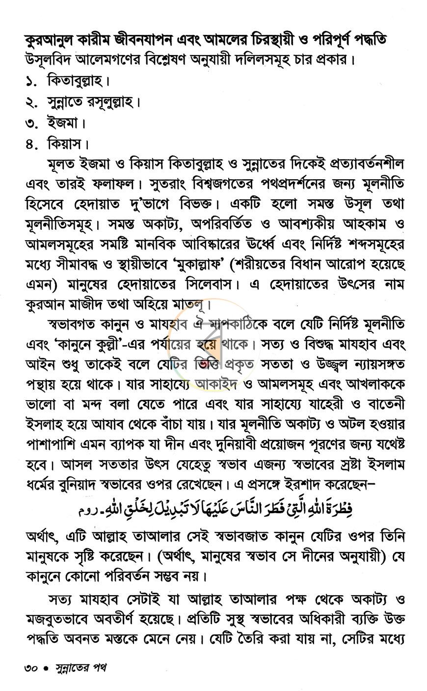 পাতা 11