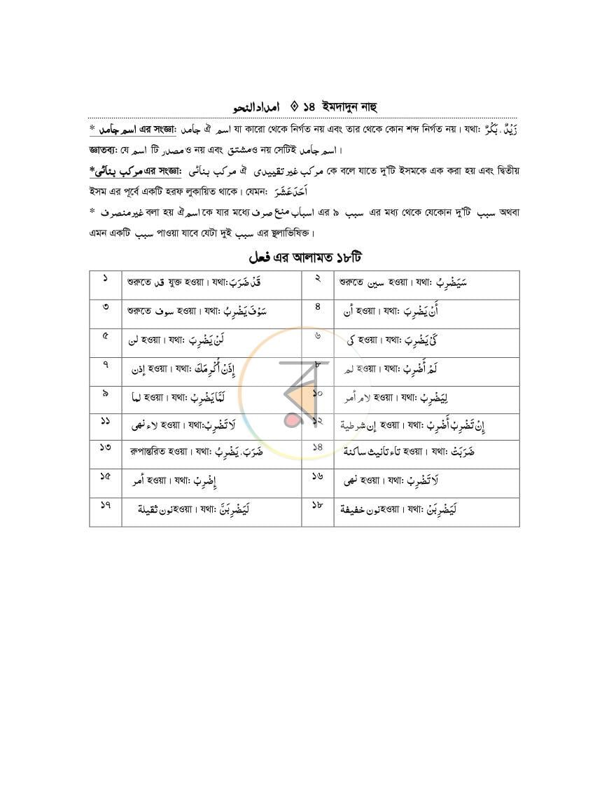 পাতা 13