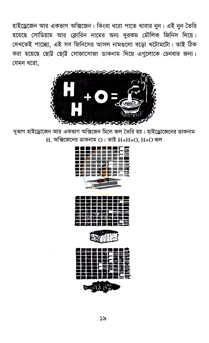 পাতা 11
