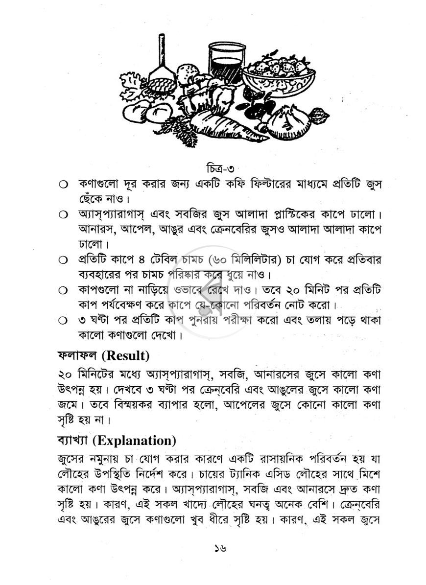 পাতা 11