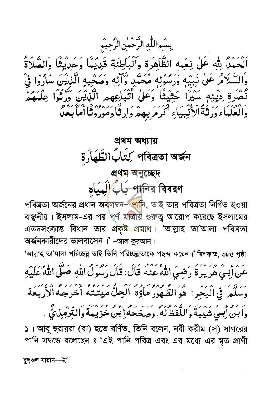 পাতা 10