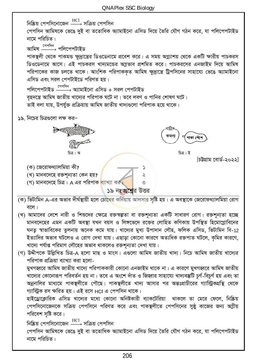 পাতা 22